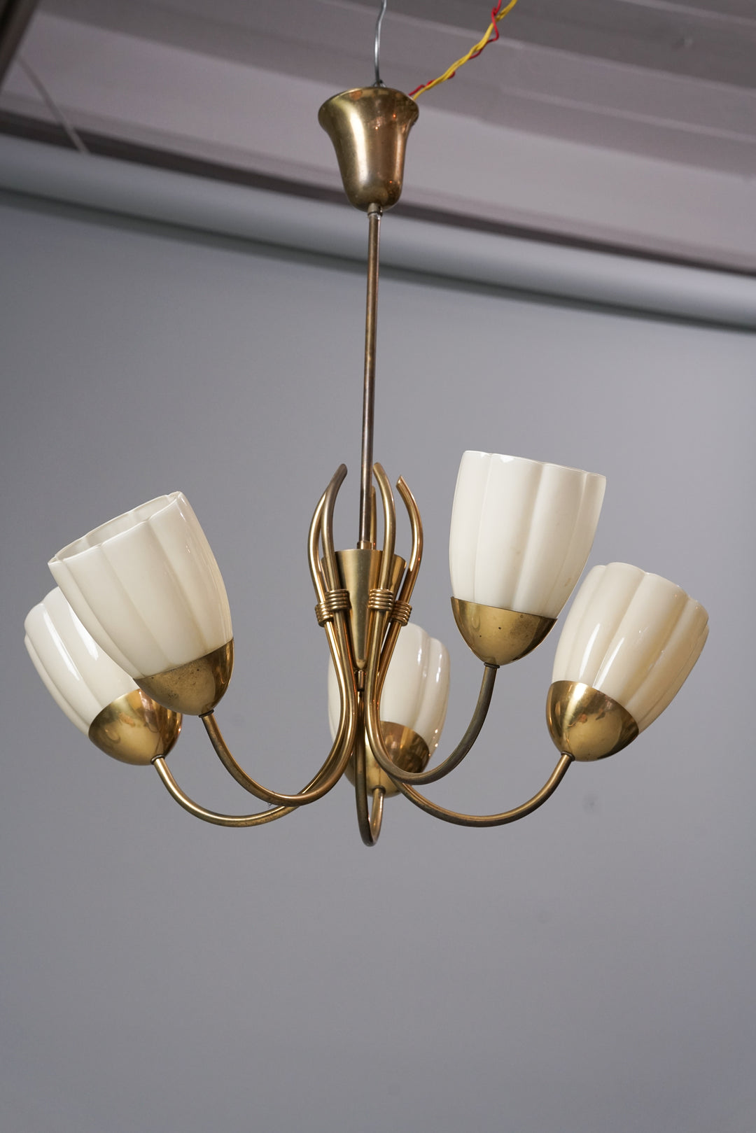 A brass chandelier with five flower shades made of opal glass, pointing upwards.