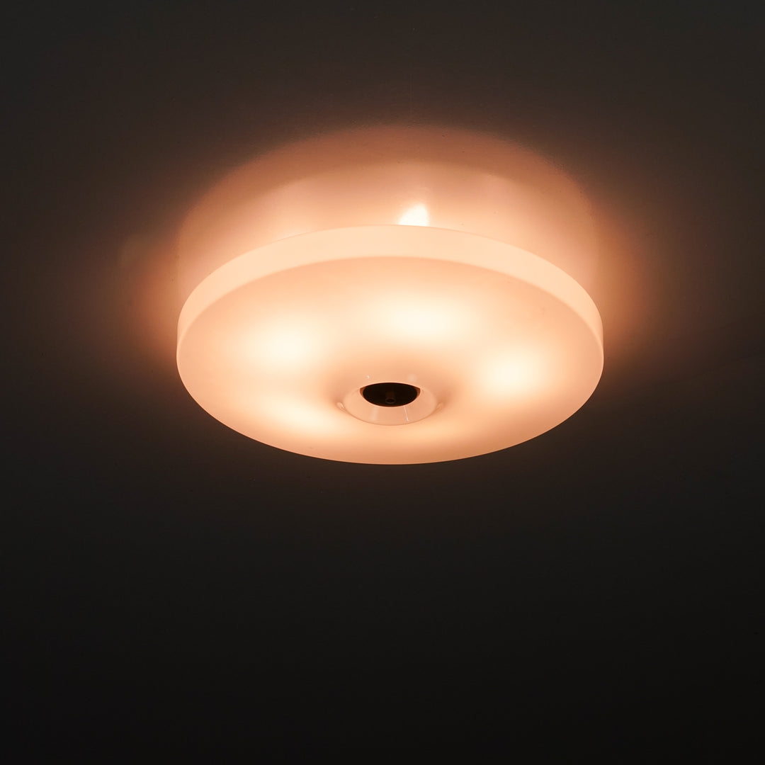 Flush Mount, Fagerhults Belysning, 1970s