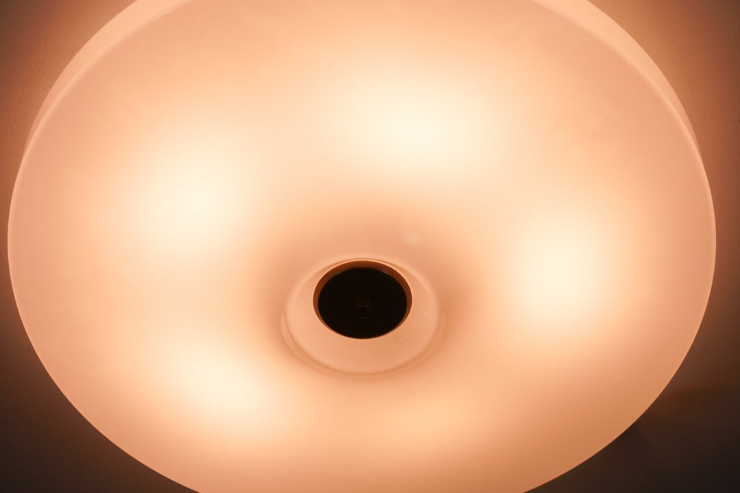 Flush Mount, Fagerhults Belysning, 1970s