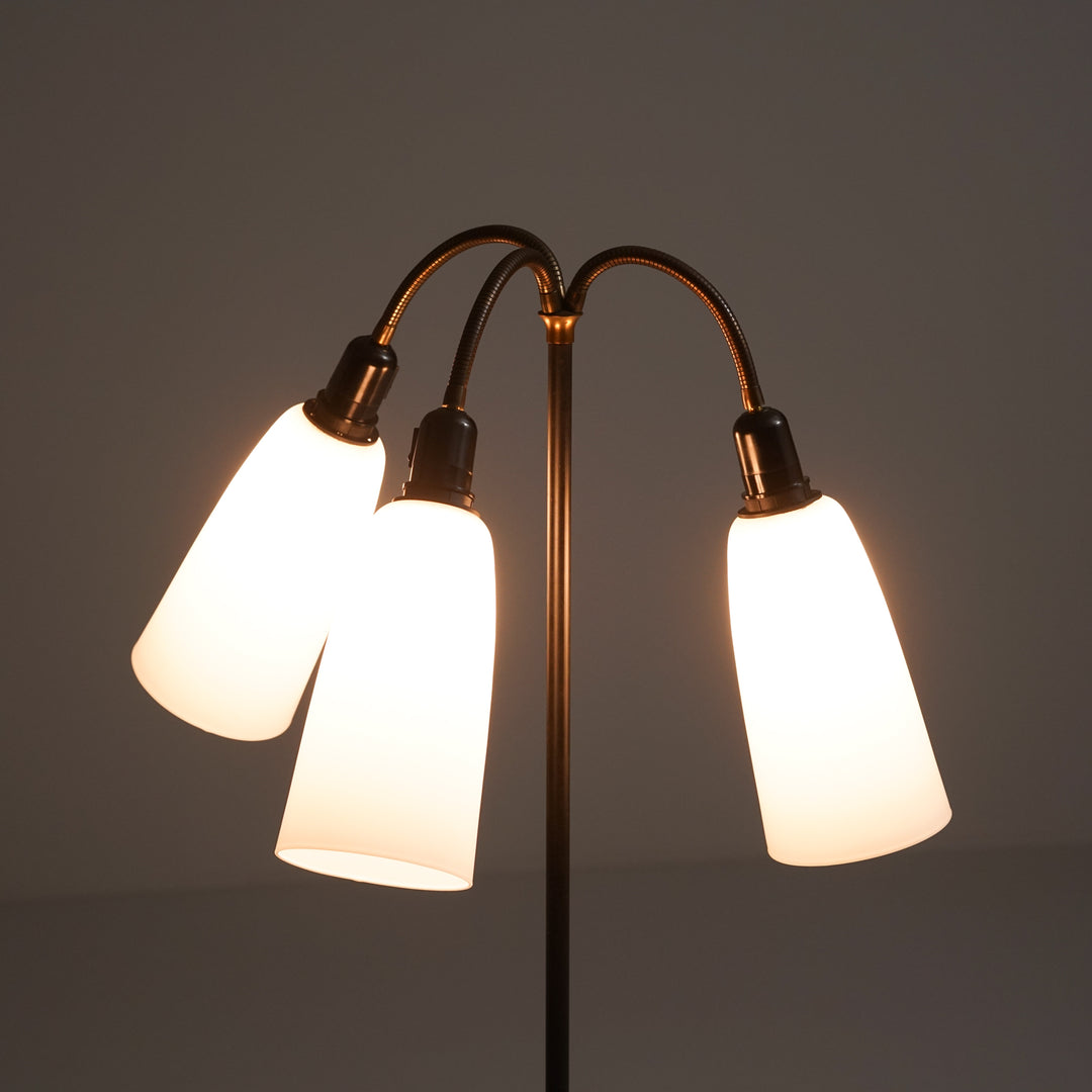 Lattiavalaisin, Tanska, 50-luku