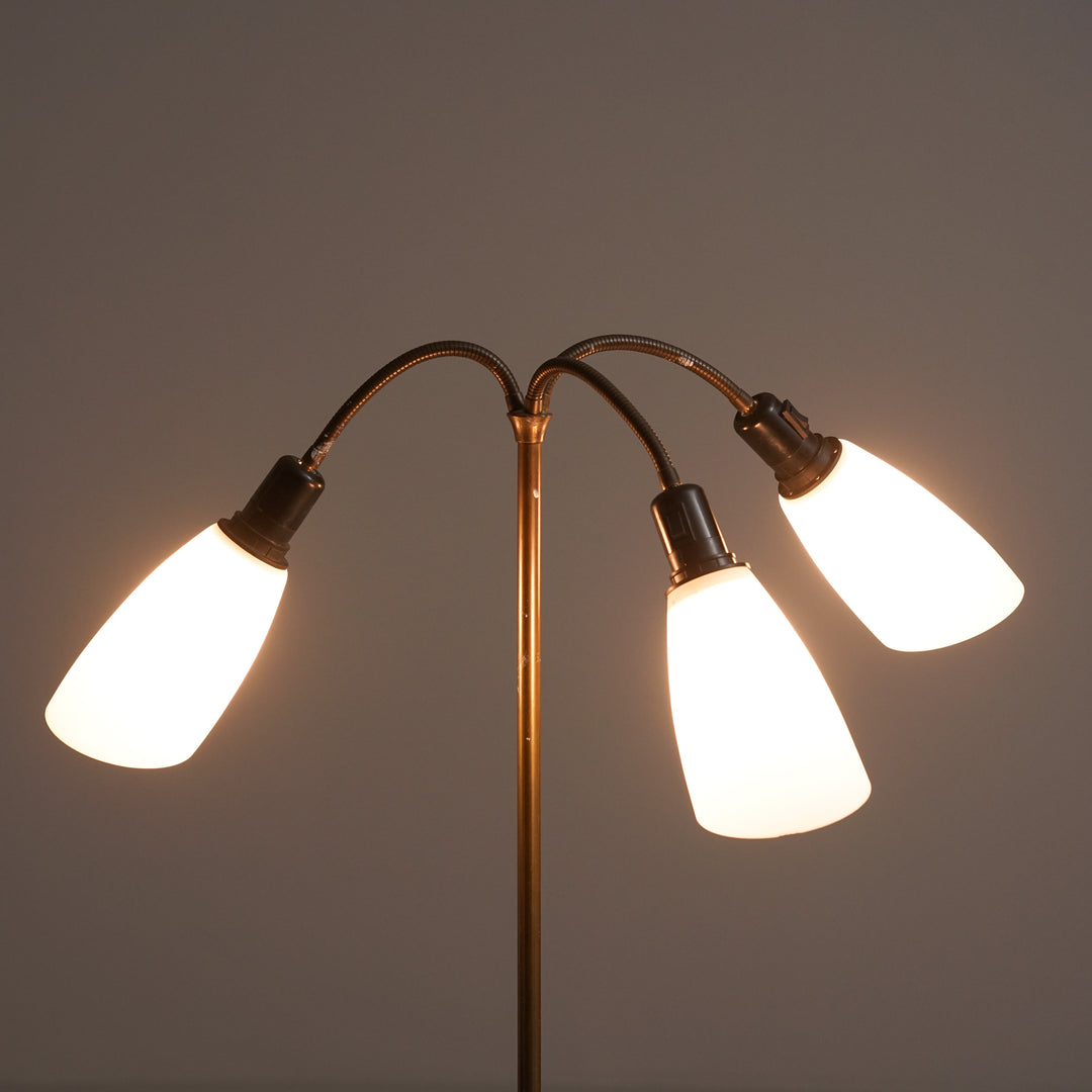 Lattiavalaisin, Tanska, 50/60-luku