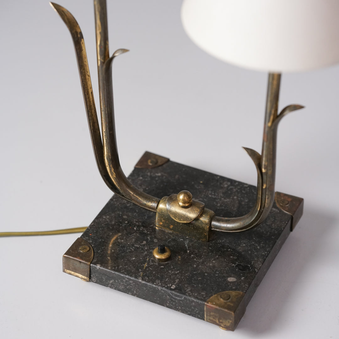 Harvinainen pöytävalaisin, Valinte, 50-luku