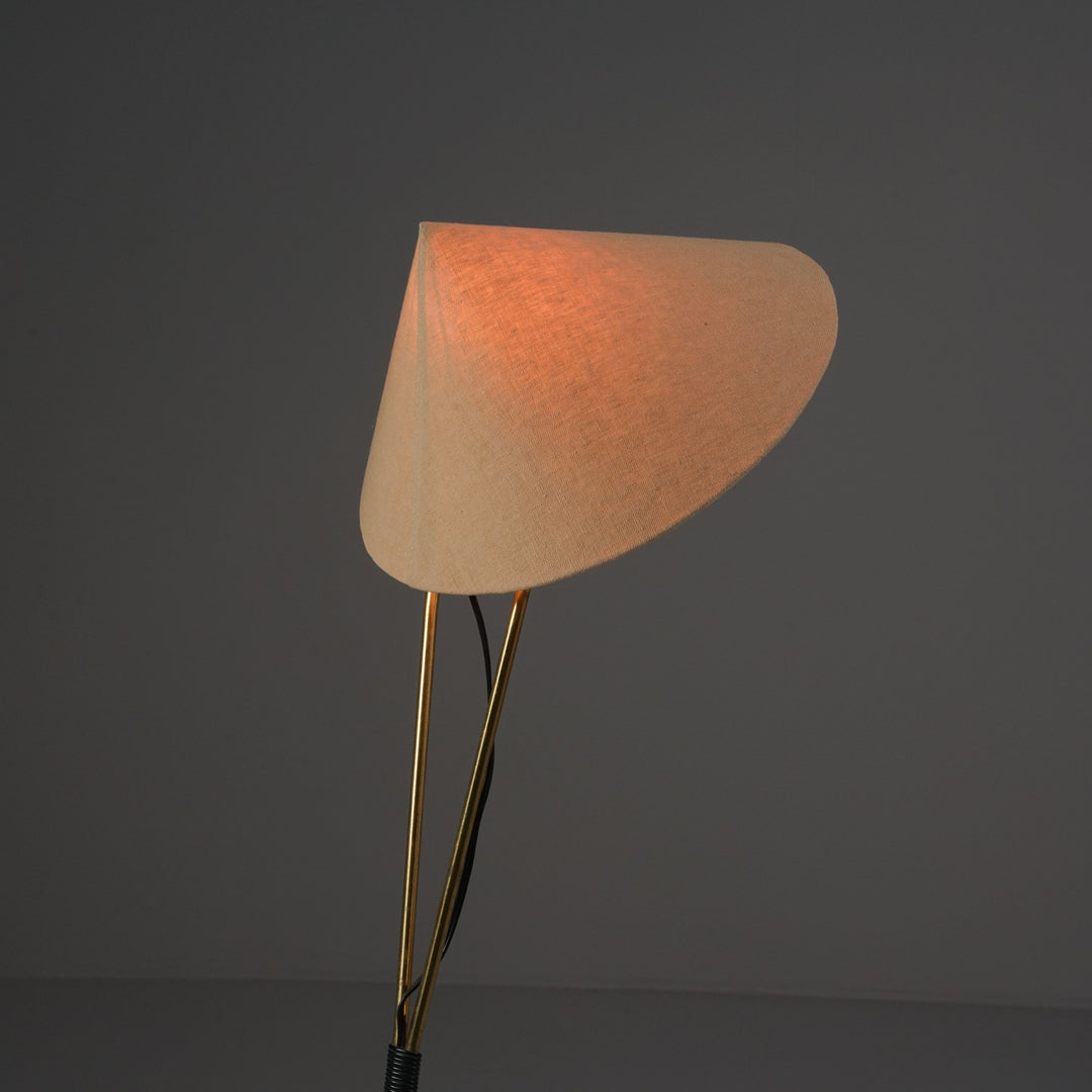 Lattiavalaisin, Ruotsi, 50-luku