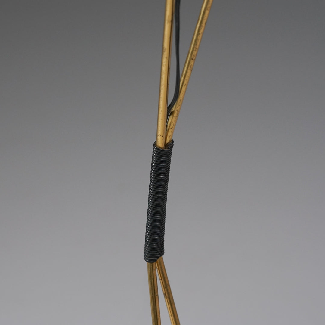 Lattiavalaisin, Ruotsi, 50-luku