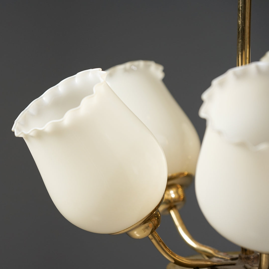 Kattovalaisin, Suomi, 50-luku