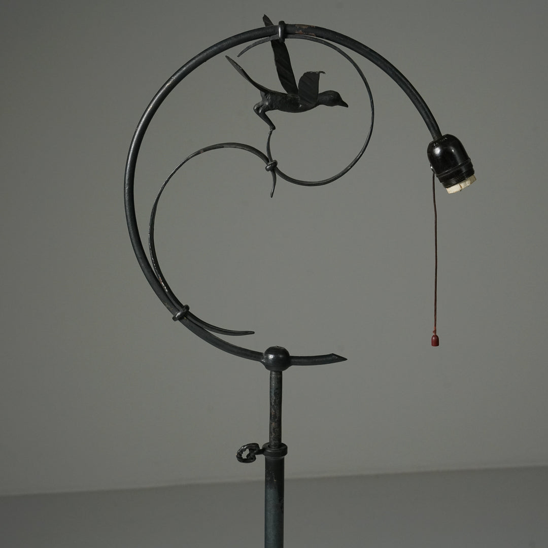 Lattiavalaisin, Taidetakomo Hakkarainen, 1900-luvun alku